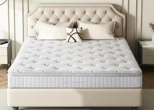 <a href=http://www.qingfeng369.cn/news_article.html?news_id=166>酒店床垫销售厂家</a>